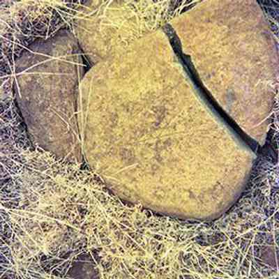 Pu'umoiwi petroglyph