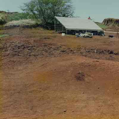 Planting on hardpan terrain