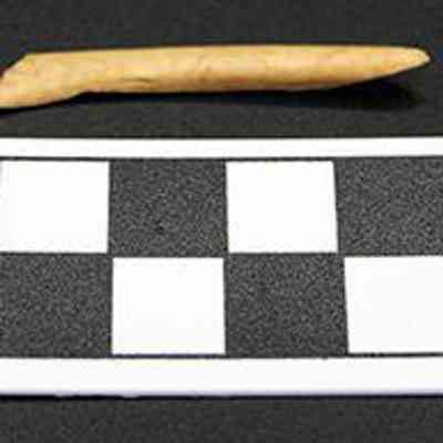 Bone pick with scale: The image shows a small, beige, pointed object placed above a black and white checkered scale marked in centimeters on a dark surface.