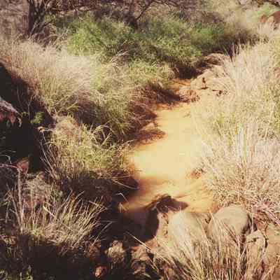 Standing water at Kuheia