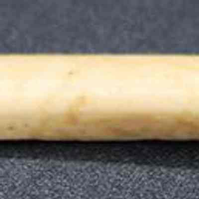 Closeup profile of a bone pick: The image displays a slender, elongated ivory-colored object on a dark surface. Its texture appears smooth, and it tapers to a rounded point.