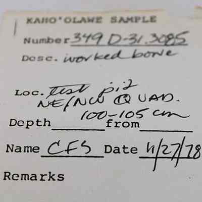 Artifact slip for needle fragment made of worked bone: The image shows a sample tag labeled "Kaho'olawe Sample," identifying a worked bone with number 349 D-31.3085.