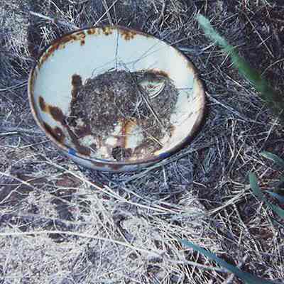 Rusted porcelain bowl with a porcelain shard in it