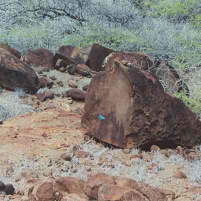 Unidentified archaelogical site with petroglyphs