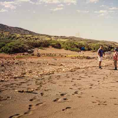 Two men on beach