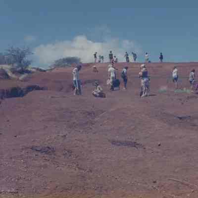 Group of unidentified people planting on hard pan