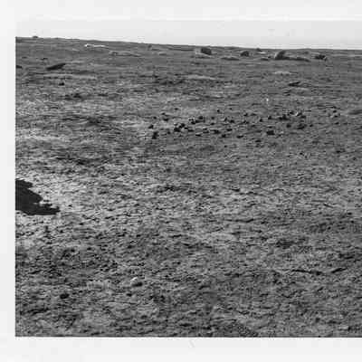 Site 110BP #6