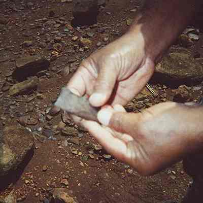 Potential lithic artifact