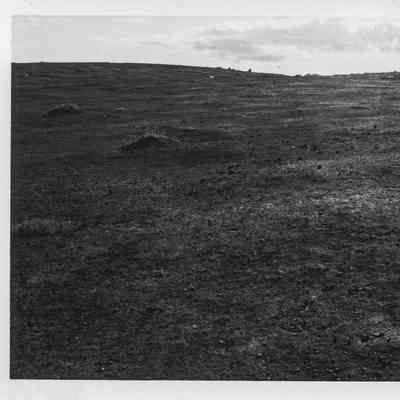 Site 110BM #3