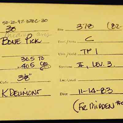 Artifact envelope for bone pick: The image shows a yellow archaeological specimen card envelope labeled "Bone Pick," collected from Site 378, dated 11-14-83.