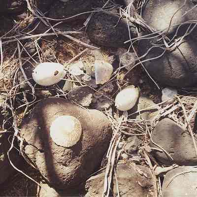 Possible offerings