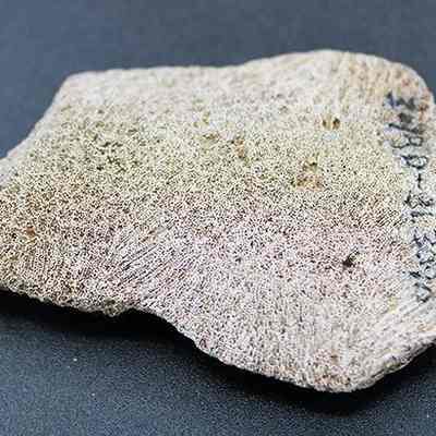 Closeup of coral abrader with visible alternate id number: The image shows a roughly textured, triangular-shaped piece of coral with identification number hand-written black ink, set against a dark background.