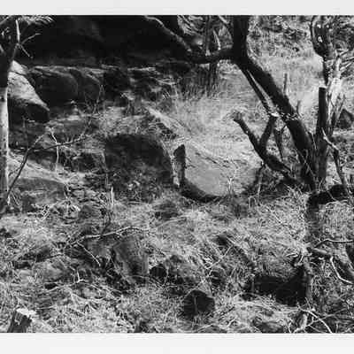 Site 560A #5A