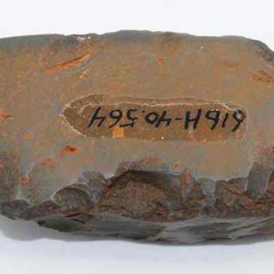 Basalt adze (ko'i) with alternate id number visible: The image shows a stone adze (ko'i) with a rough, weathered surface, likely used as a prehistoric tool. Its number label suggests cataloging purposes.
