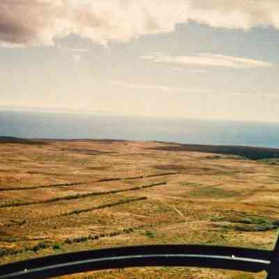 Aerial view of hardpan and trees