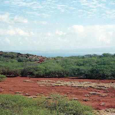 Kealialuna Crater w/fence posts