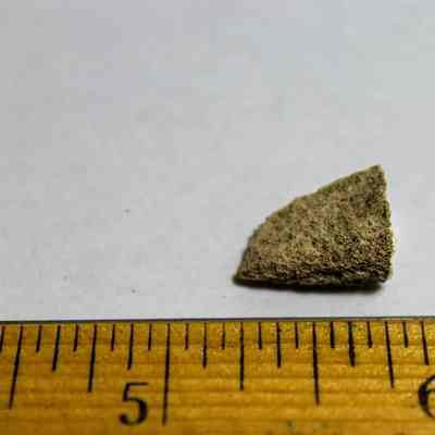 Coral abrader: A small, triangular piece of rough, textured material lies on white paper, adjacent to a wooden ruler displaying measurements.