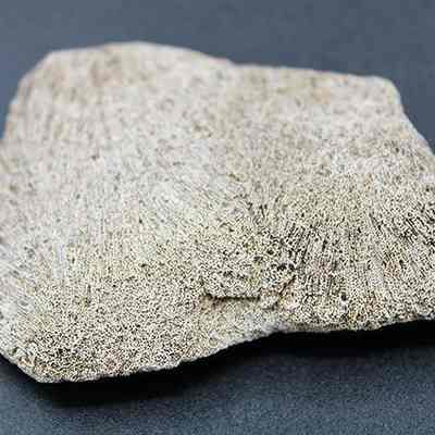 Closeup of coral abrader: The image shows a textured, beige piece of coral placed on a smooth, dark surface, highlighting its intricate details and porous structure.