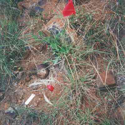 Flagged UXO in ground
