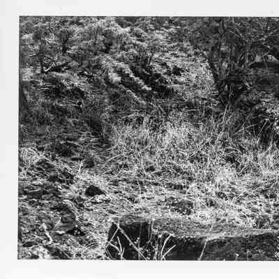 Site 638B #14