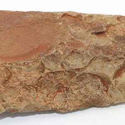Profile of adze blank: The image shows an irregularly shaped, rough textured on one side, reddish-brown stone with a flat top surface.