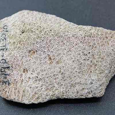 Closeup of coral abrader with visible alternate id number: The image shows a rough, triangular piece of natural coral with a textured surface, displaying thin, branching patterns, and some handwritten markings on its edge.