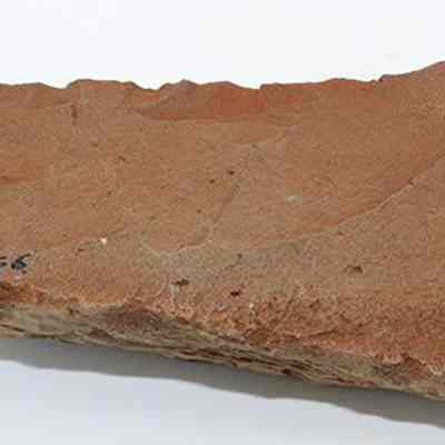 Adze blank with visible alternate id number: The image shows a flat, rectangular reddish-brown rock fragment with rough edges, and black numbers hand-written in black ink on its surface.