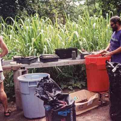 Man putting soil in containers