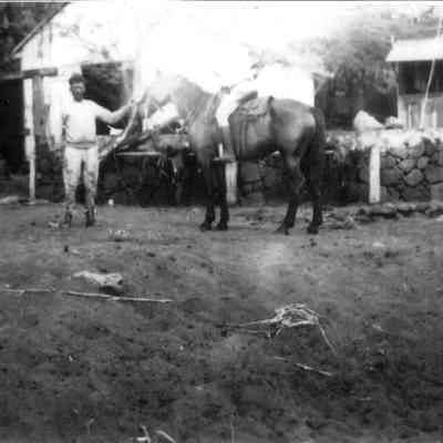 Horse with unidentified cowboy