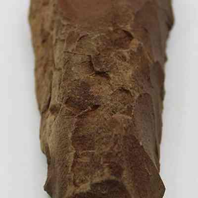 Closeup lengthwise view of adze blank: The image shows a jagged, brown stone with a sharp edge, displaying visible chipping and irregular surfaces, indicating it might have been used to create an adze.