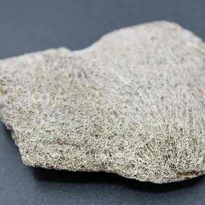 Closeup of coral abrader: The image shows a rough, irregularly shaped piece of coral with a textured surface against a plain, dark background.