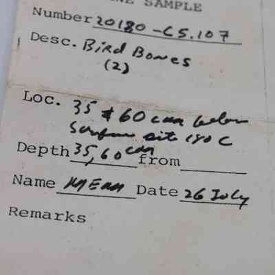 Artifact slip for bird bones: The artifact slip documents bird bones from Kaho'olawe, found 35-60 cm below a site, with a date of July 26