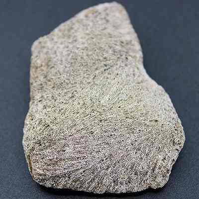 Closeup of coral abrader: The image shows a textured, irregularly-shaped piece of coral with a rough, porous surface against a dark background.