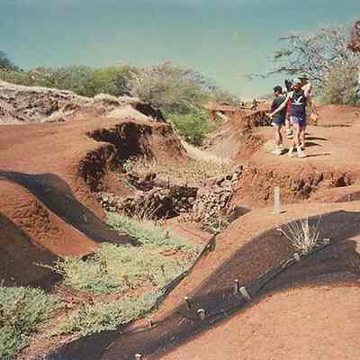 People examining check dam site