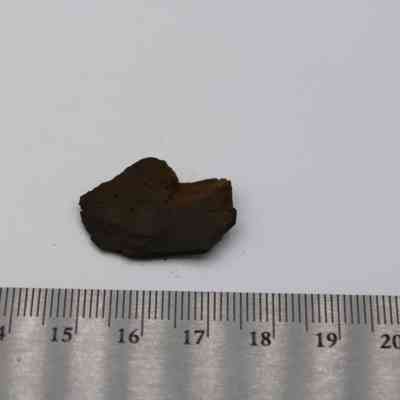 Closeup of basaltic glass flake and ruler: A small basaltic glass flake is placed beside a ruler, measuring approximately 2.4 cm in length on a plain background.