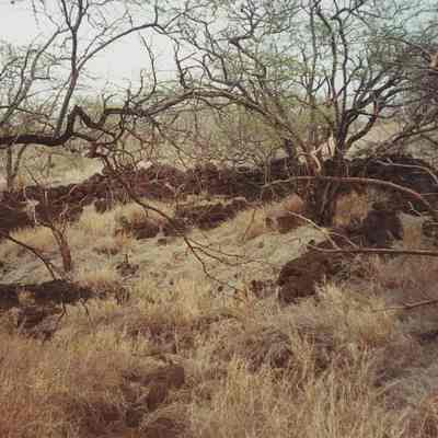 Rock walls at Site 128