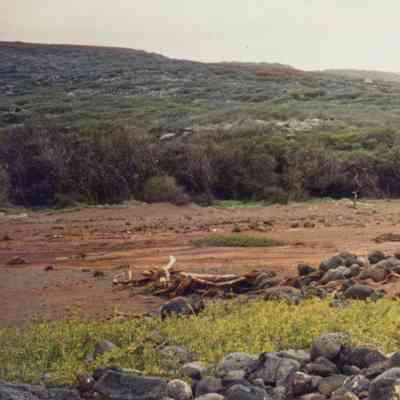 Landscape with dry streambed