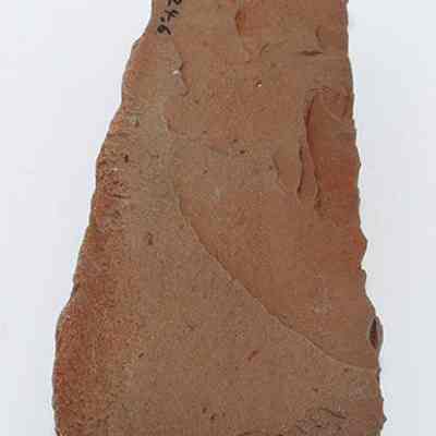 Lengthwise view of adze blank with visible alternate id number: The image shows an irregularly shaped, reddish-brown rock fragment with some surface texture variations and a number written on its upper left corner.