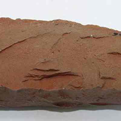 Adze blank with visible alternate id number: The image displays a rectangular piece of reddish-brown stone with rough edges and a slightly uneven surface, featuring some darker markings and a set of numbers written in black ink.