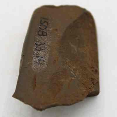 Lengthwise view of adze fragment with alternate id number visible: Origsize: 3.89 cm (l); Origformat: Artifact; Resolution: 200 dpi