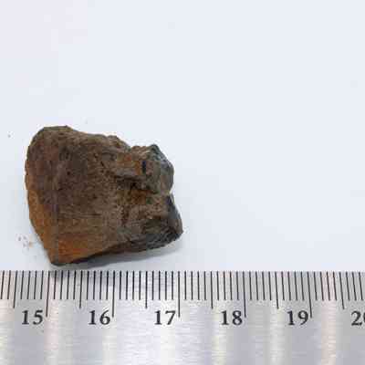 Closeup of basaltic glass core with ruler: The image shows a basaltic glass core placed on a white surface beside a metal ruler, highlighting its size and texture.