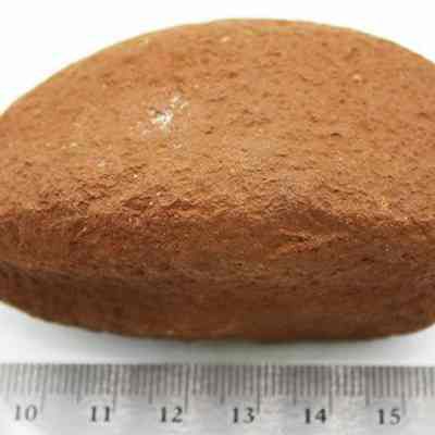 Closeup of breadloaf sinker with ruler: The image shows a roughly textured stone sinker placed next to a ruler, measuring approximately 16 centimeters in length, commonly utilized in fishing or netting.