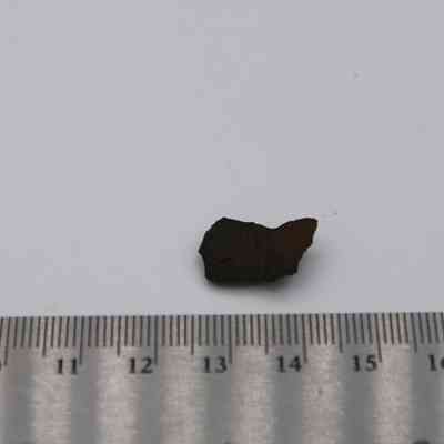 Closeup of basaltic glass flake and ruler: A small flake of basaltic glass rests above a ruler, indicating its size is approximately 1.5 millimeters in length from edge to edge.