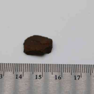 Close up of basaltic glass flake with ruler: A small, dark brown rock fragment is placed next to a metal ruler with millimeter markings, on a plain white background.