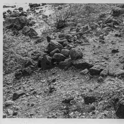 Site 363F #12