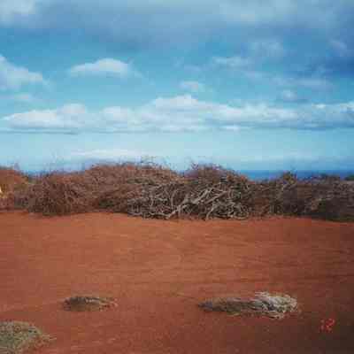 Unidentified person and brush piles