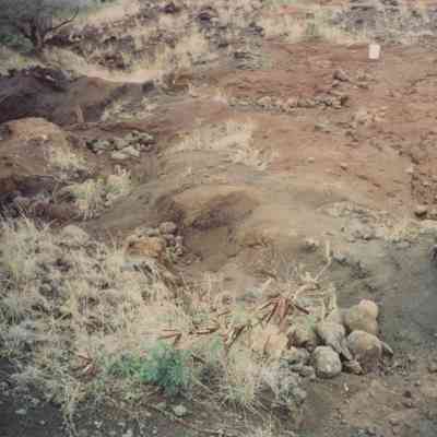 People exploring potential streambed