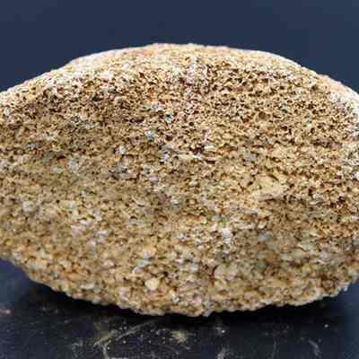 Profile of ulumaika fragment without ruler: Origsize: 7 cm (D); Origformat: Artifact; Resolution: 200 dpi