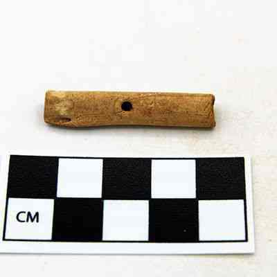 Possible bone toggle with scale: The image shows a small, ancient bone tool with a hole in it, displayed above a black-and-white centimeter scale for size reference on a light surface