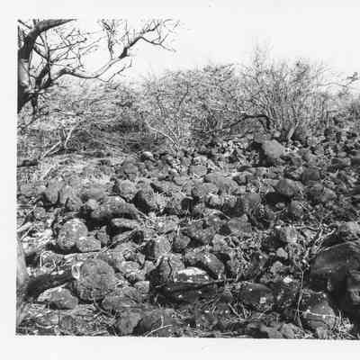 Site 358A #8